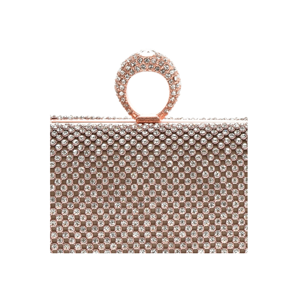 Minaudiere AM0691Champagne