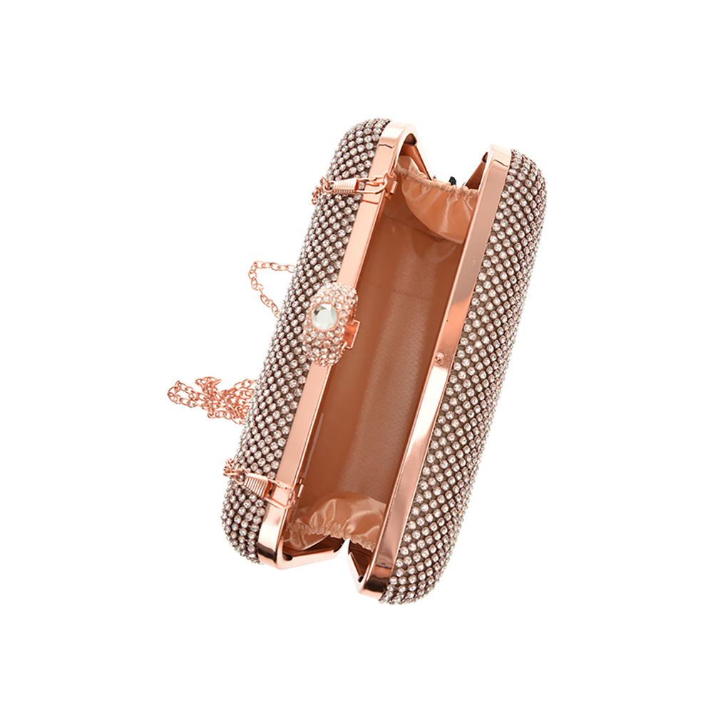 Minaudiere AM0691Champagne
