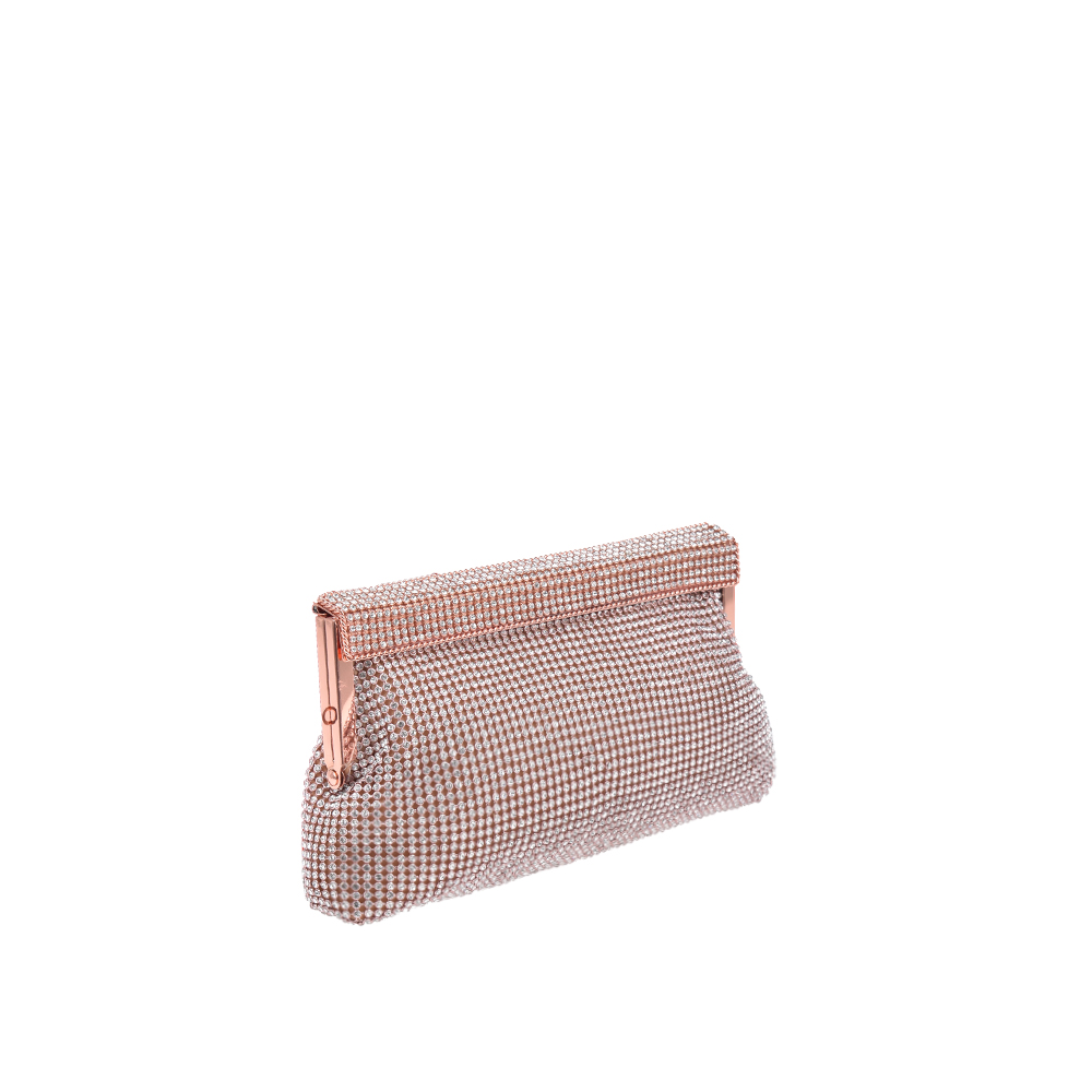 Minaudiere CC1410Champagne